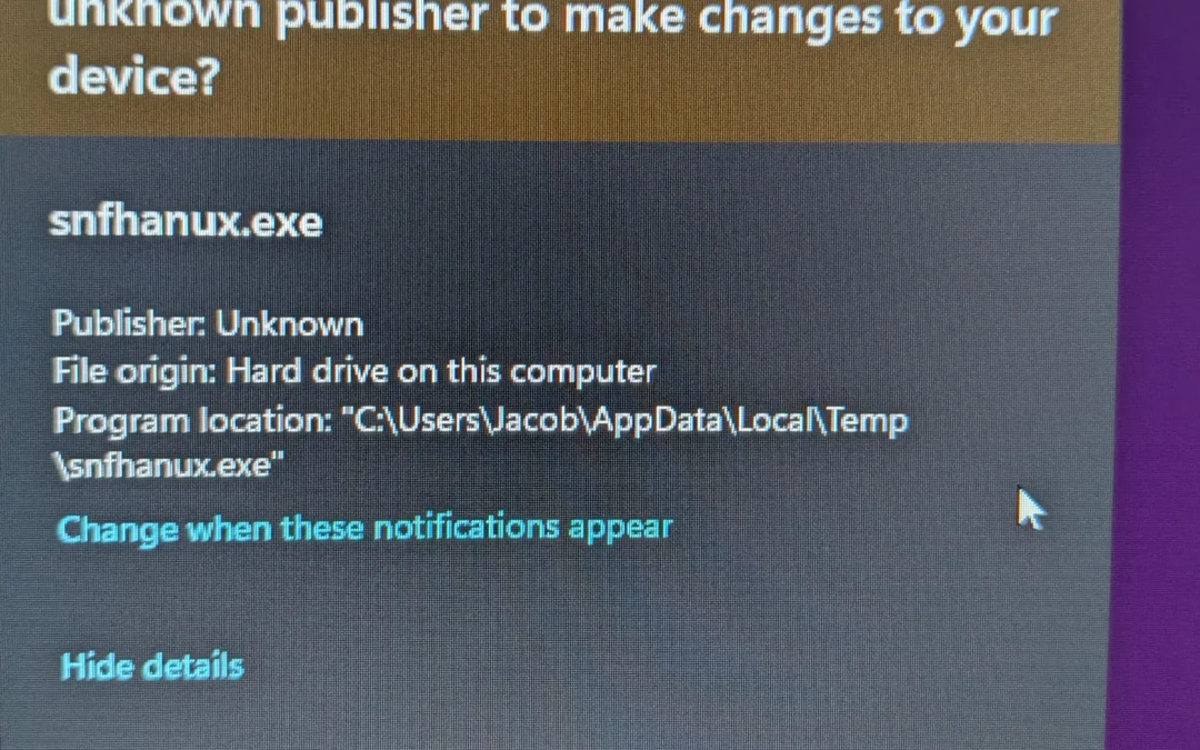 Southern Utah Virus Removal
